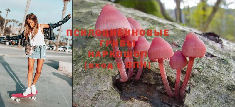 Галлюциногенные грибы Magic Shrooms  OMG ТОР  Лаишево 